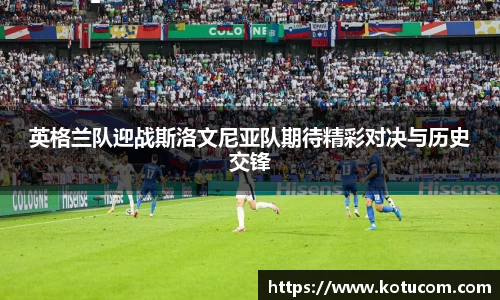 乐鱼体育平台